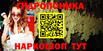твердый Краснодар