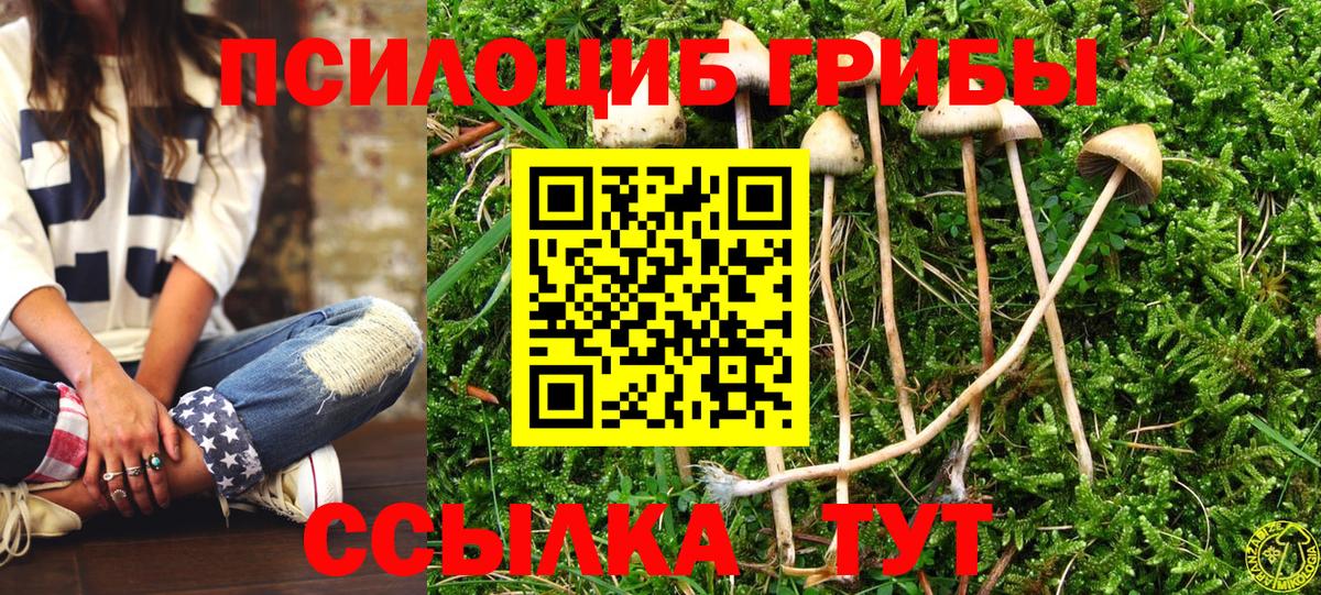 Черемхово  Галлюциногенные грибы мицелий  Вход с VPN 